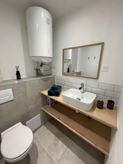 Le Roland-Garros Apartment Chalon-sur-Saone Luaran gambar
